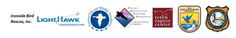 raptor rescue network partners