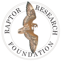 Raptor Research Foundation